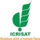 Scientific Officer (Research Associate) in Market Development 


            

            
            Scientific Officer (Research Associate) in Agricultural Engineering 


            

            
            Sorghum Commodity Specialist