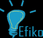 Business Development Director, Efiko