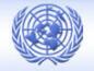 Humanitarian Affairs Officer (TJO), P4