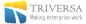 Database Administrator (DBA) 


            

            
            Enterprise Solutions Architect 


            

            
            Junior Business Analyst 


            

            
            Lead Enterprise Developer 


            

            
            Junior Solutions Architect