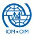 Senior Programme Manager (Immigration and Border Management (IBM)