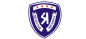Selective Security International Ltd logo