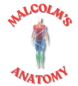 Malcolm's Anatomy (Malcolms Anatomy Foundation)